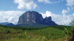 Ketapang Kalimantan Barat