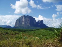 Wisata Kalimantan Barat: Surga Tersembunyi di Tanah Borneo
