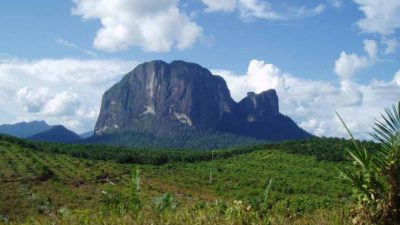 Ketapang Kalimantan Barat