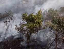 Kabut Asap Mengancam Kesehatan, Partikel Halus Bisa Menembus Paru-paru
