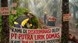 DUGAAN DISKRIMINASI DI PT PUTRA LIRIK DOMAS: Dua Buruh Harian Lepas Diduga Diperlakukan Berbeda
