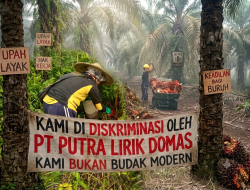 DUGAAN DISKRIMINASI DI PT PUTRA LIRIK DOMAS: Dua Buruh Harian Lepas Diduga Diperlakukan Berbeda