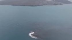 Kemunculan Cucu Krakatau, Berkah atau Bencana?