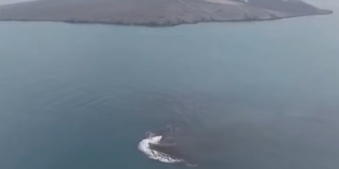 cucu krakatau muncul di selat sunda benarkah gunung api baru 260924q